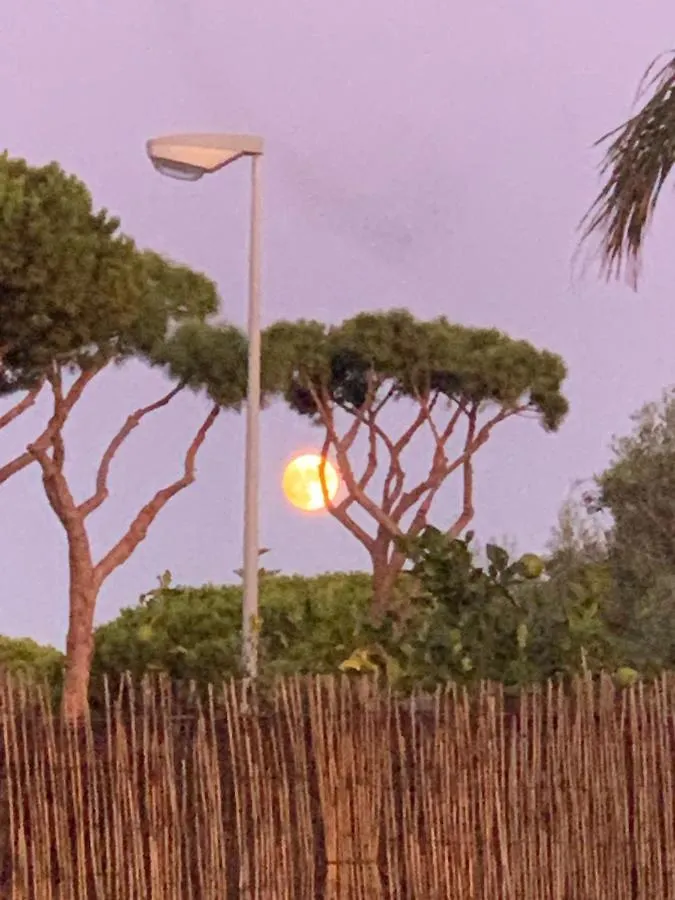 Chiclana Casa Maria Villa Chiclana de la Frontera Holiday home